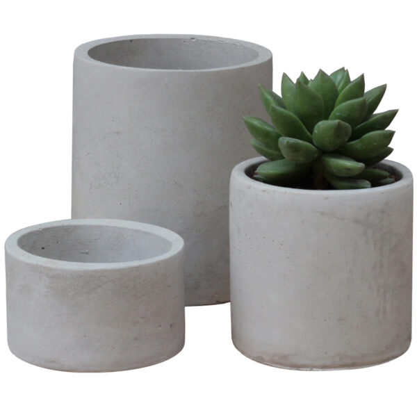 CE3016 - Image 4