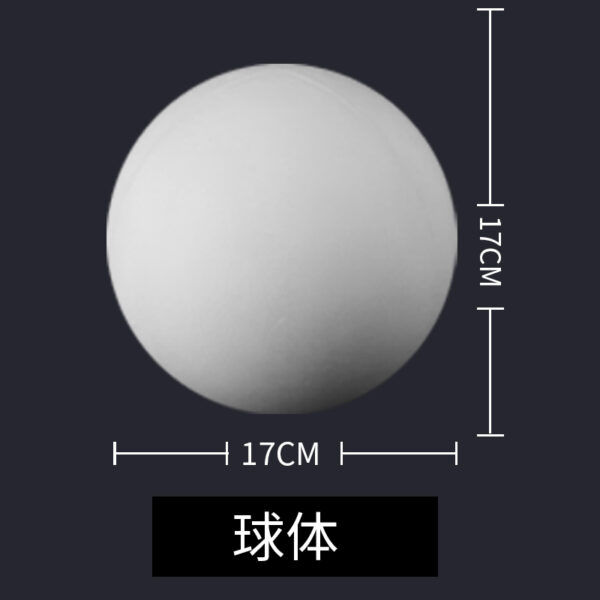 GM1007 - Image 3
